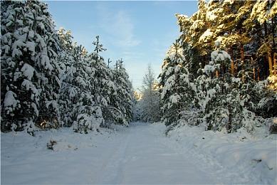《绝地潜兵》预约今日开启，预约立享免费DLC礼赠